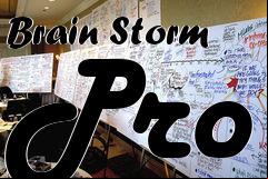Box art for Brain Storm Pro
