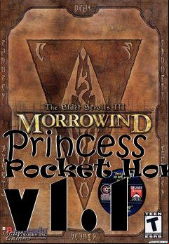 Box art for Princess Pocket Homes v1.1